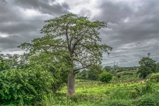 Angola