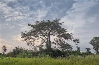 Angola