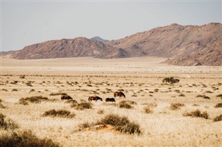 Angola