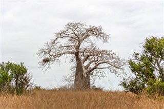 Angola