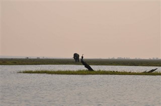 Angola