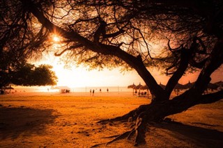 Aruba