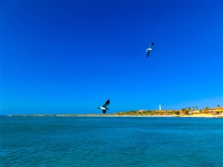 Aruba
