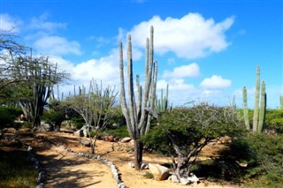 Aruba