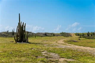 Aruba