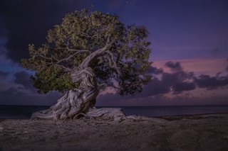 Aruba