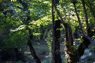 Azerbaijan