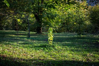 Azerbaijan