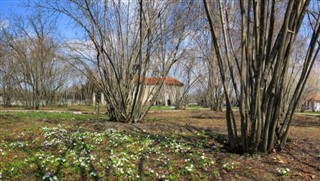 Azerbaijan