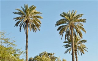 Bahrain