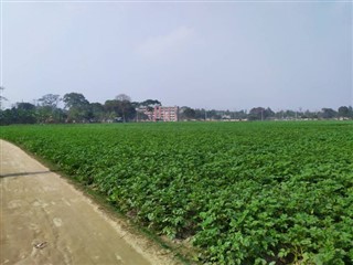 Bangladesh