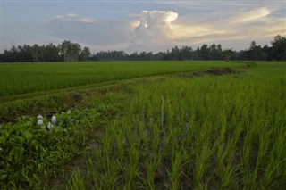 Bangladesh