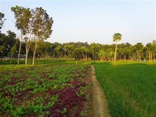 Bangladesh