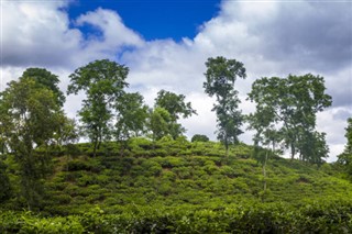 Bangladesh