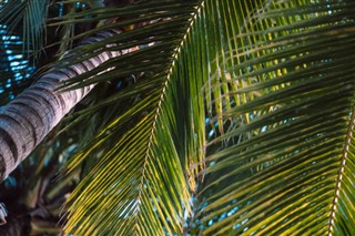 Barbados