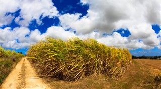 Barbados