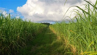 Barbados