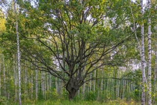 Belarus