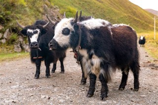 Bhutan