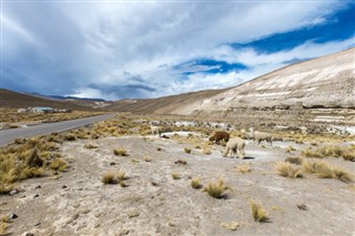 Bolivia