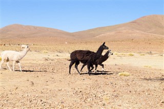 Bolivia