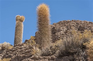 Bolivia