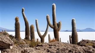 Bolivia