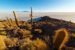 Bolivia