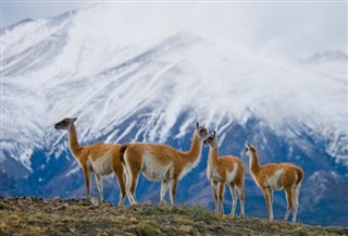 Bolivia