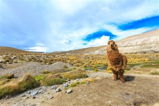 Bolivia