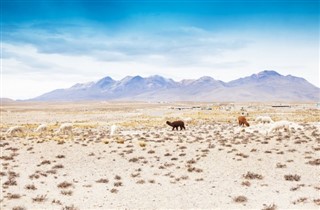 Bolivia