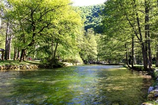 Bosnia