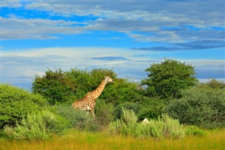 Botswana