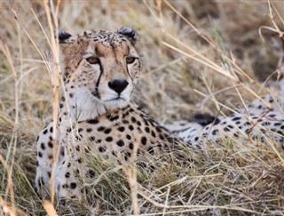 Botswana