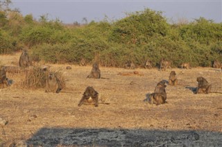 Botswana