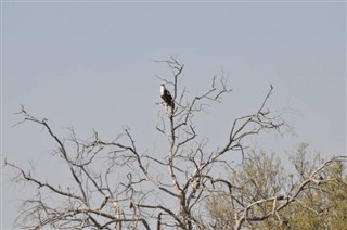Botswana
