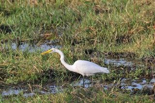 Botswana