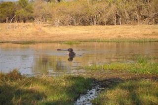 Botswana