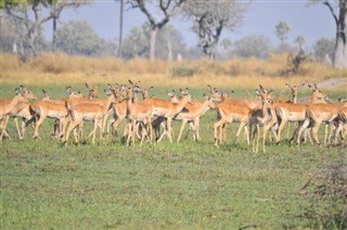 Botswana