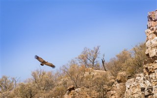Botswana