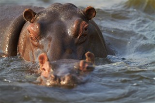 Botswana