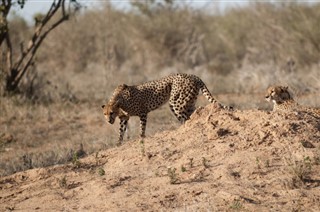 Botswana