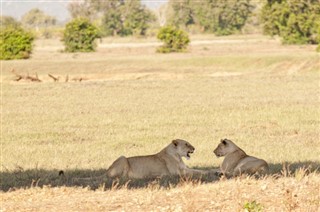 Botswana