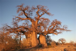 Botswana