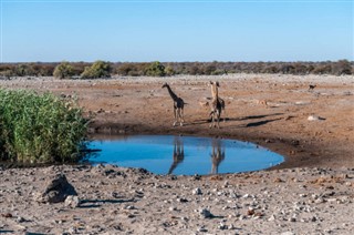 Botswana