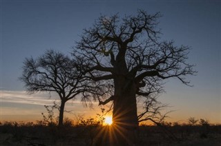 Botswana