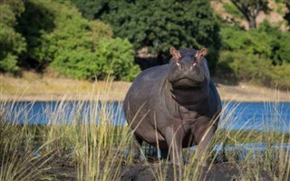 Botswana