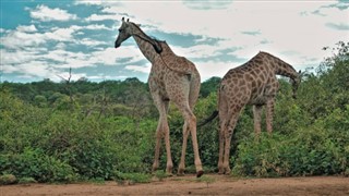 Botswana