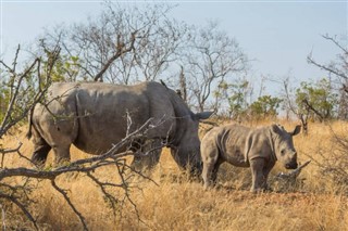 Botswana