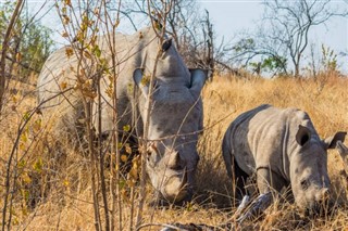 Botswana